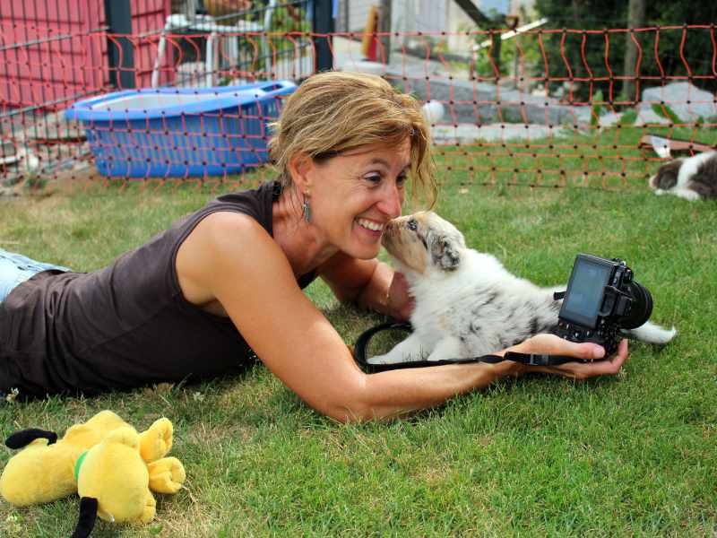 Kennenlernen Hundefotografie
